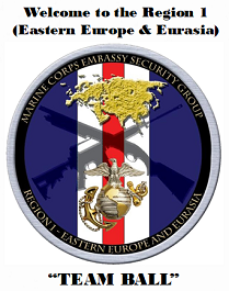 MCESG Region 1 logo